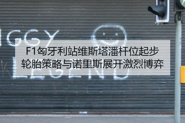 xiong-ya-li-zhan-wei-si-ta-pan-gan-wei-qi-bu-lun-tai-ce-lve-yu-nuo-li-si-zhan-kai-ji-lie-bo-yi-2-416.jpg