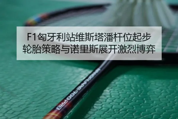 F1匈牙利站维斯塔潘杆位起步 轮胎策略与诺里斯展开激烈博弈