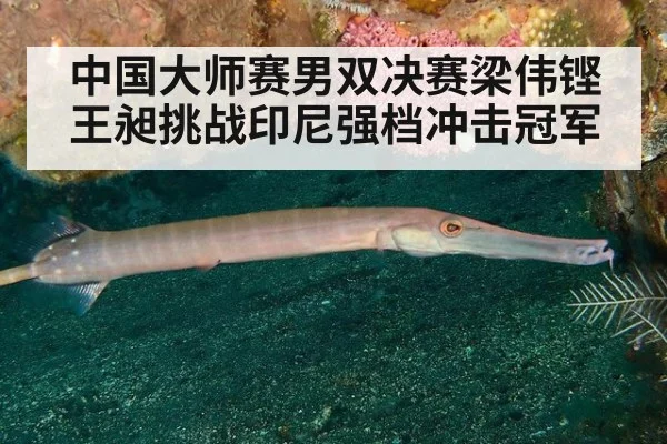 中国大师赛男双决赛梁伟铿王昶挑战印尼强档冲击冠军